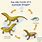 Komodo Dragon Evolution Tree