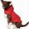 Kong Packable Dog Raincoat