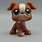 LPS Brown Dog