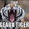 LSU Tiger Meme