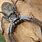 Largest Huntsman Spider Australia