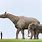 Largest Mammal Ever Lived