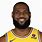 LeBron James Lakers Face