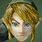 Legend of Zelda Link Face
