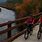 Lehigh Gorge Rail Trail Biking