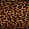 Leopard Print Screensaver