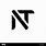 Letter NT Logo