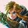 Link Totk Icon