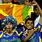 Lional Sri Lanka Cricket Supporter