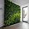 Living Plant Wall Indoor