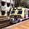 Local Train Mumbai News