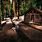 Log Cabin in the Woods Wallpaper