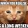 Long Weekend Cat Meme