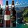 Madeira Port Wine