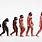 Mankind Evolution