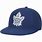 Maple Leafs Hat