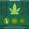 Marijuana Facts
