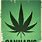 Marijuana Poster