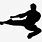 Martial Arts Silhouette Flying Kick