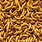 MealWorms