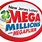 Mega Millions NJ