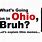 Memes About Ohio