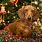 Merry Christmas Dachshund Images