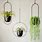 Metal Wall Plant Hanger