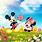 Mickey Minnie Mouse Wallpaper