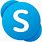 Microsoft Skype Icon