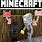 Minecraft Baby Wither Skeleton