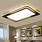 Modern LED Ceiling Light Fixtures