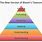 Modified Bloom's Taxonomy