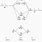 Molecular Orbital of CN