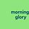 Morning Glory Meaning Slang