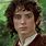 Mr Frodo