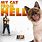 My Cat From Hell TV