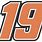 NASCAR 19 Logo