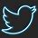 Neon Twitter Logo.png