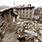 Nepal Earthquake Effects