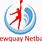 Netball Club Logo