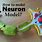 Neuron Cell 3D Model