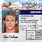 Nevada Drivers License Template