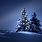 Night Sky Christmas Tree
