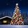 Night Snow Christmas Tree