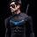 Nightwing Cosplay Suit