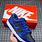 Nike Dunk Low Blue and Black