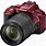 Nikon Red Camera