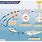 Ocean Biome Food Chain