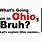 Ohio Memes Video